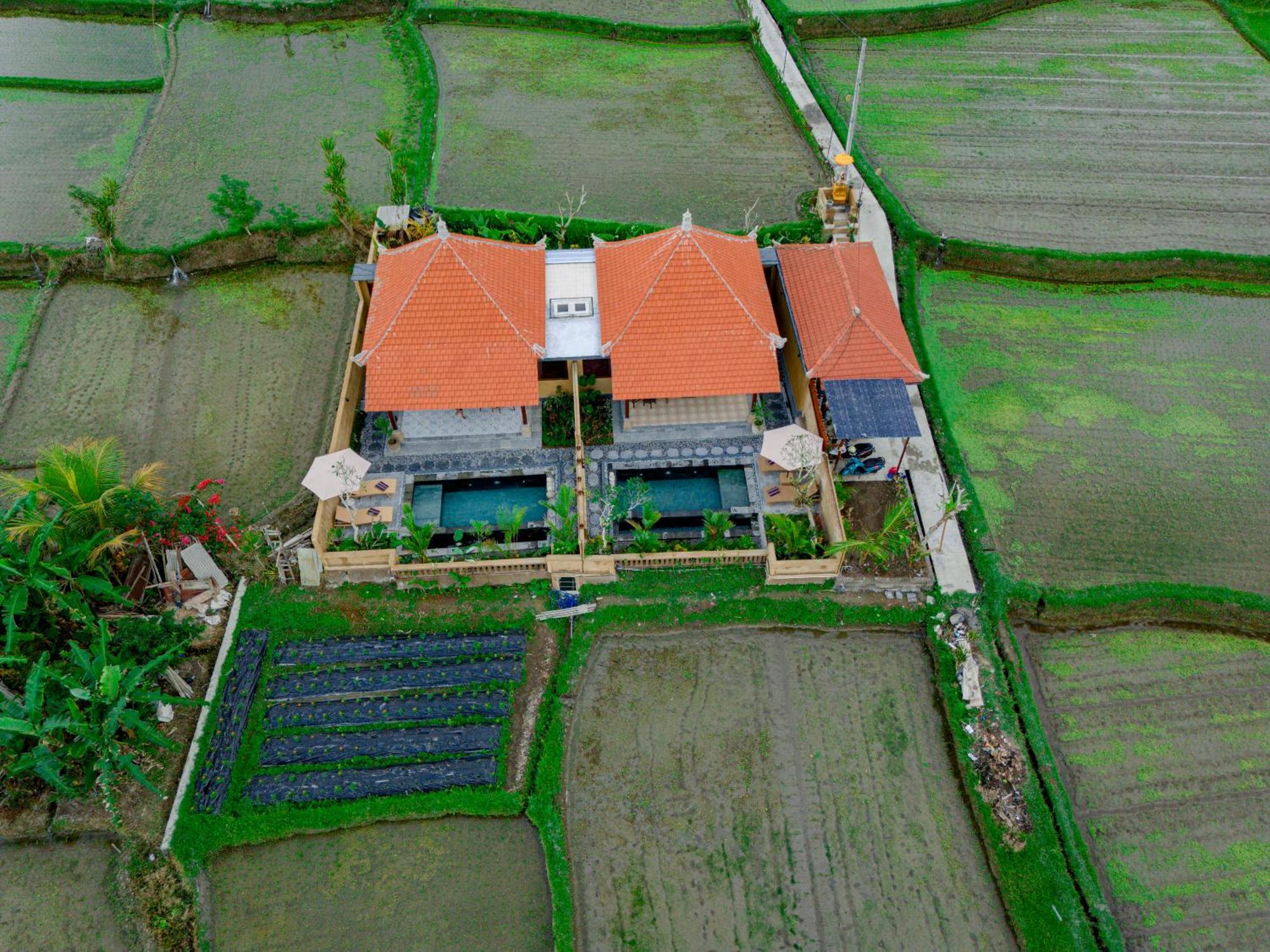 Umesari Villa Sebatu By Uniquecations Ubud Kültér fotó